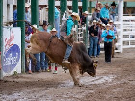 Warwick Rodeo